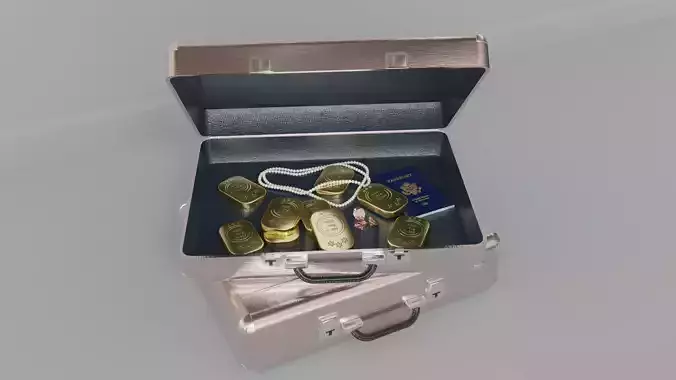 Suitcase with heist loot