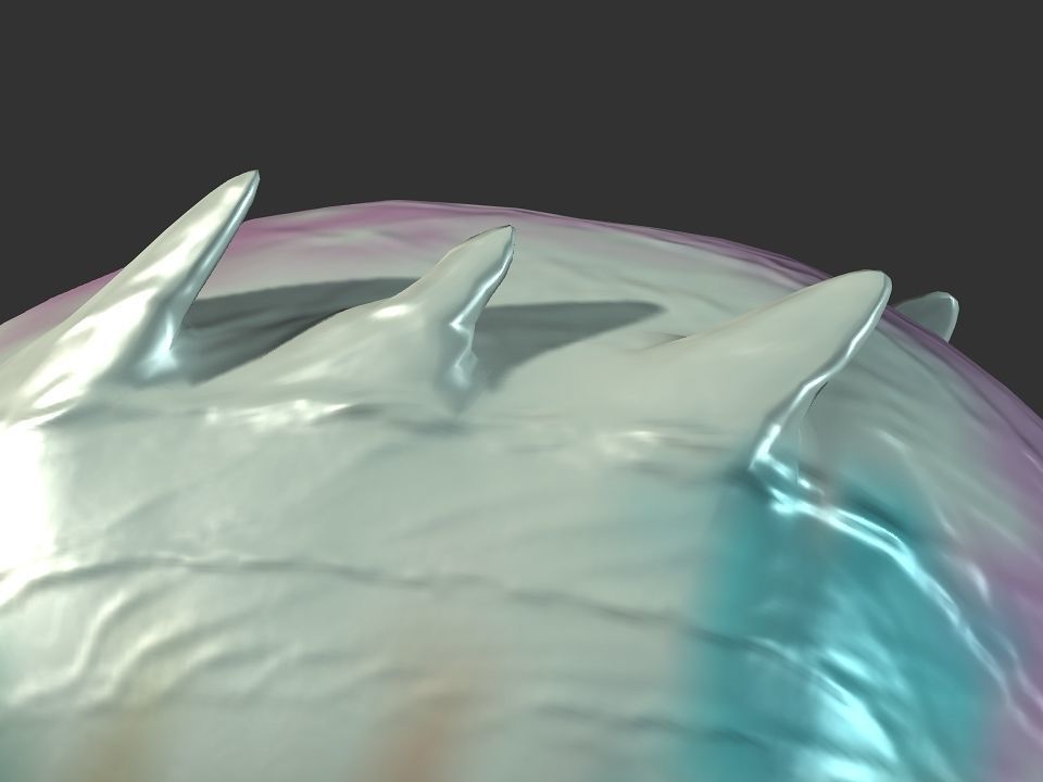 Spring the water wyvern Low-poly 3D model_20