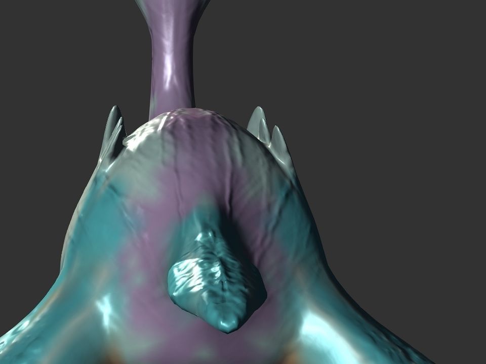 Spring the water wyvern Low-poly 3D model_18