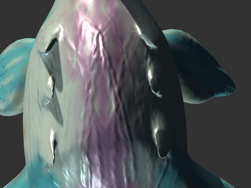 Spring the water wyvern Low-poly 3D model_21