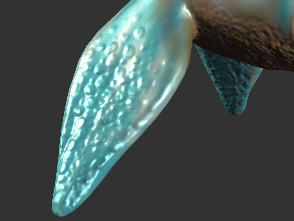 Spring the water wyvern Low-poly 3D model_24