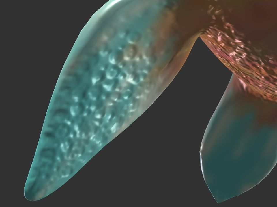 Spring the water wyvern Low-poly 3D model_27
