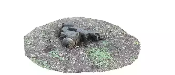 Winter stump 3D scan Low-poly 3D model