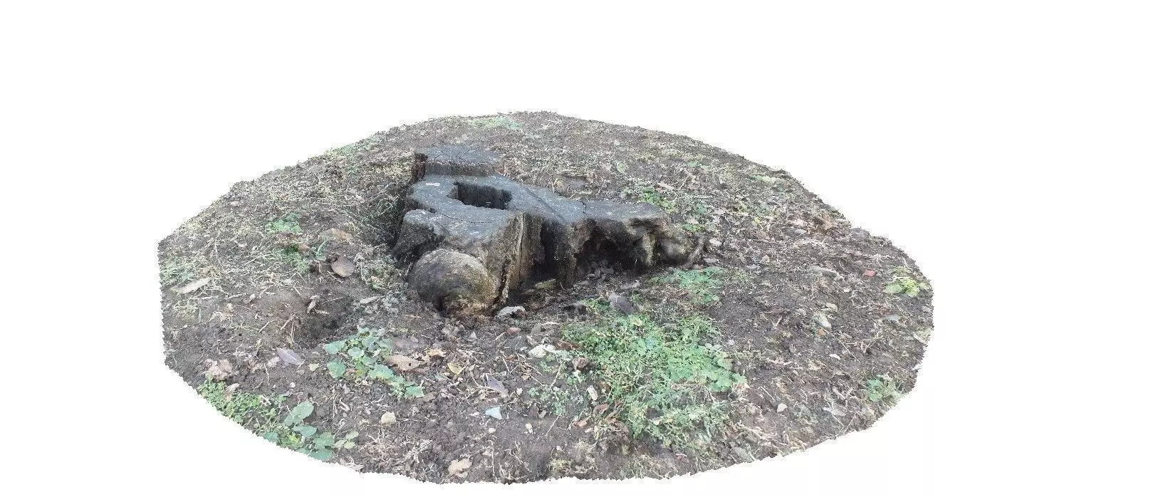Winter stump 3D scan Low-poly 3D model
