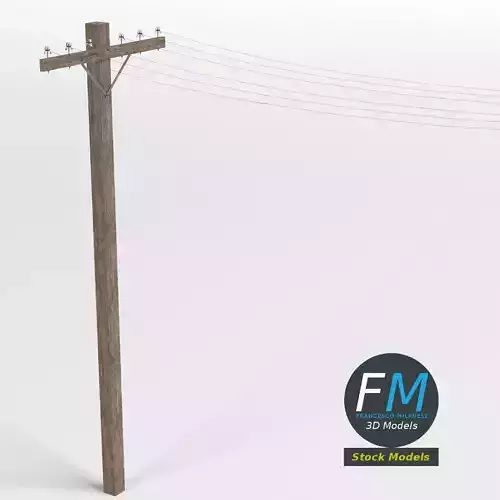 Wooden telephone pole