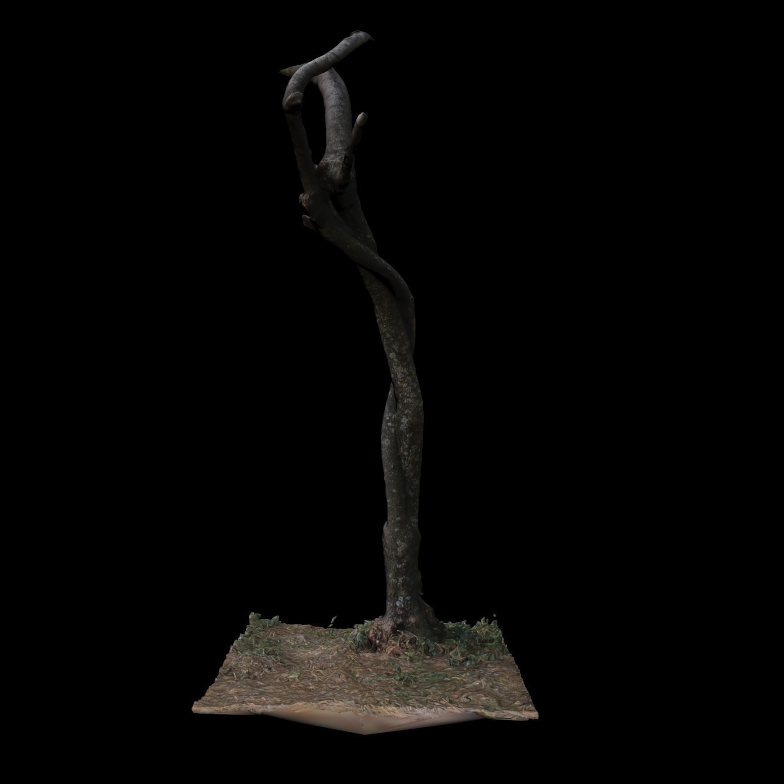Tree M 3D model_5