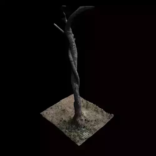 Tree M 3D model