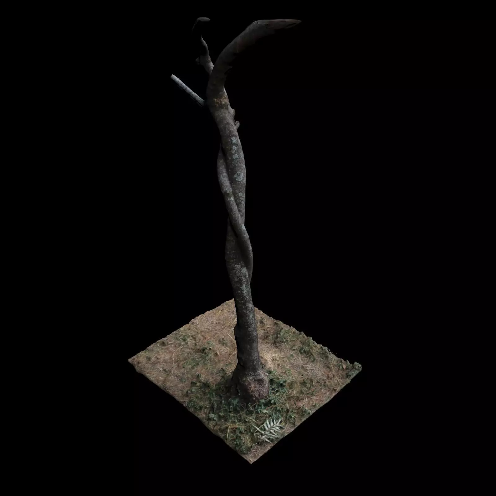 Tree M 3D model_0