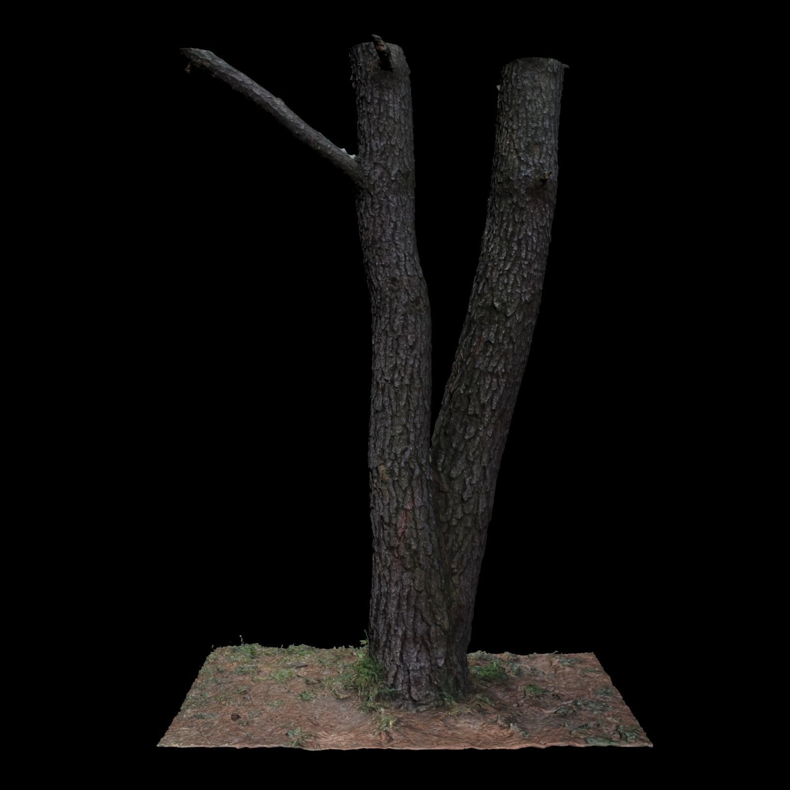 Tree N 3D model_3