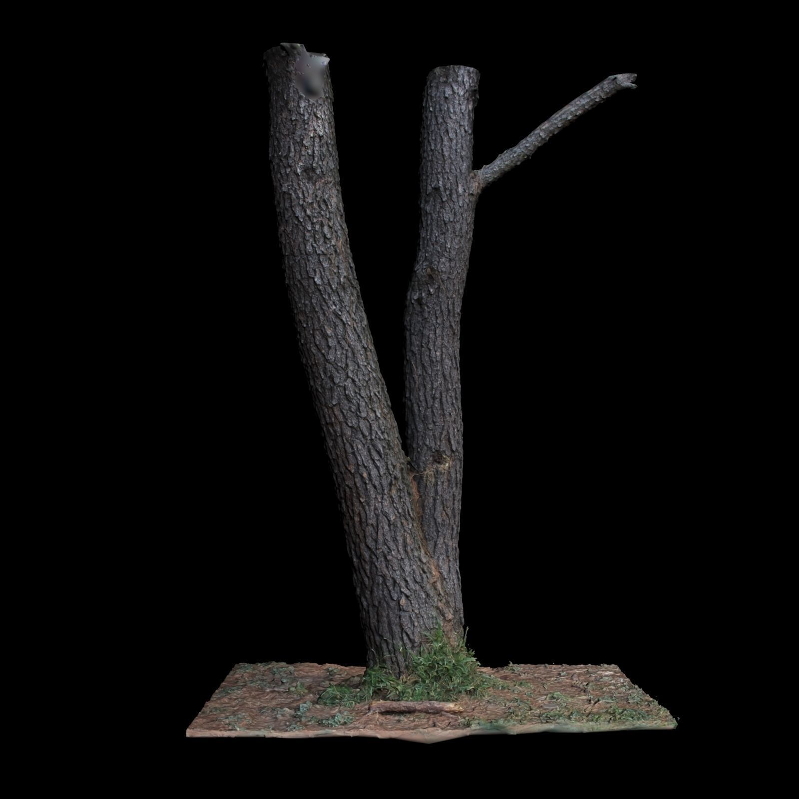 Tree N 3D model_5