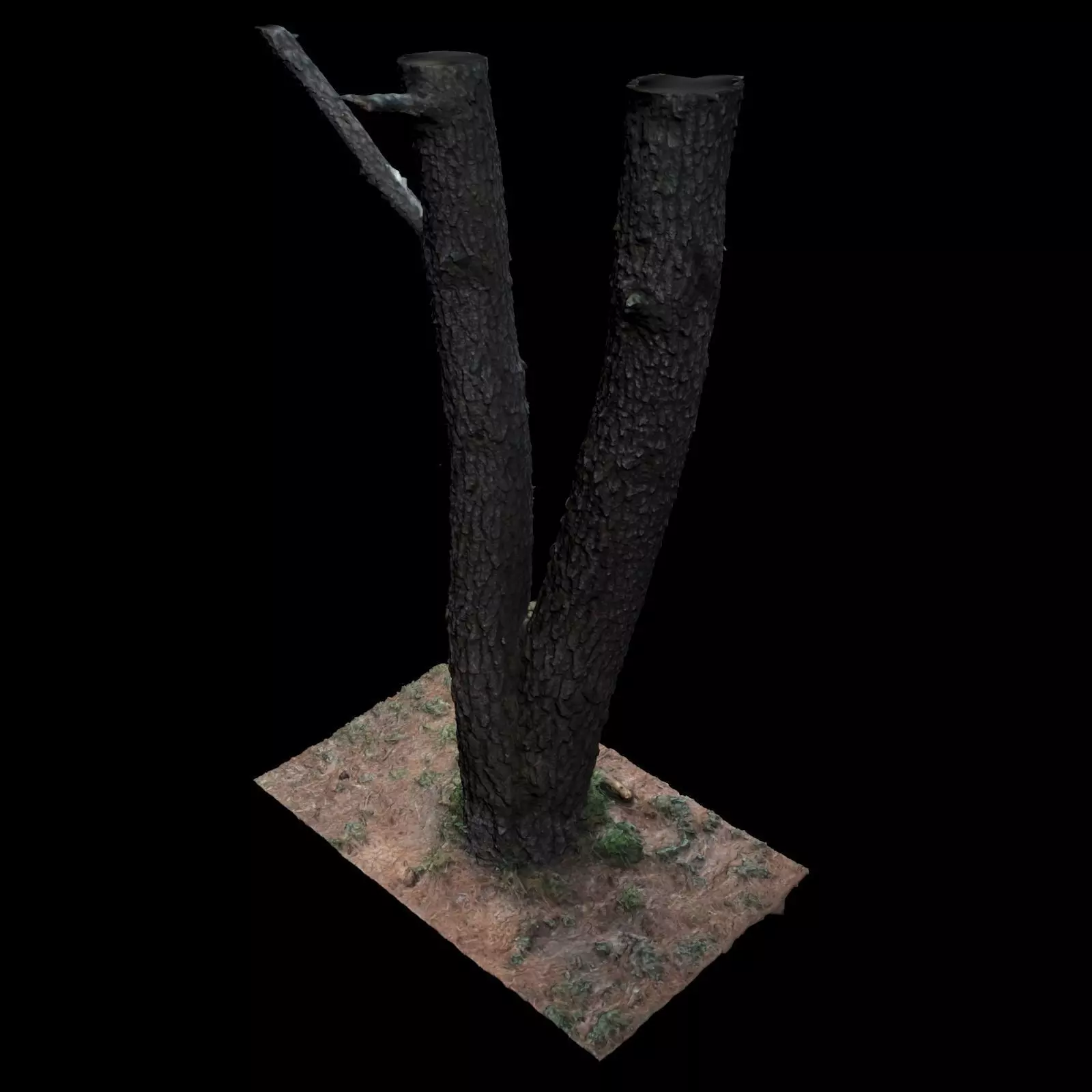 Tree N 3D model_0