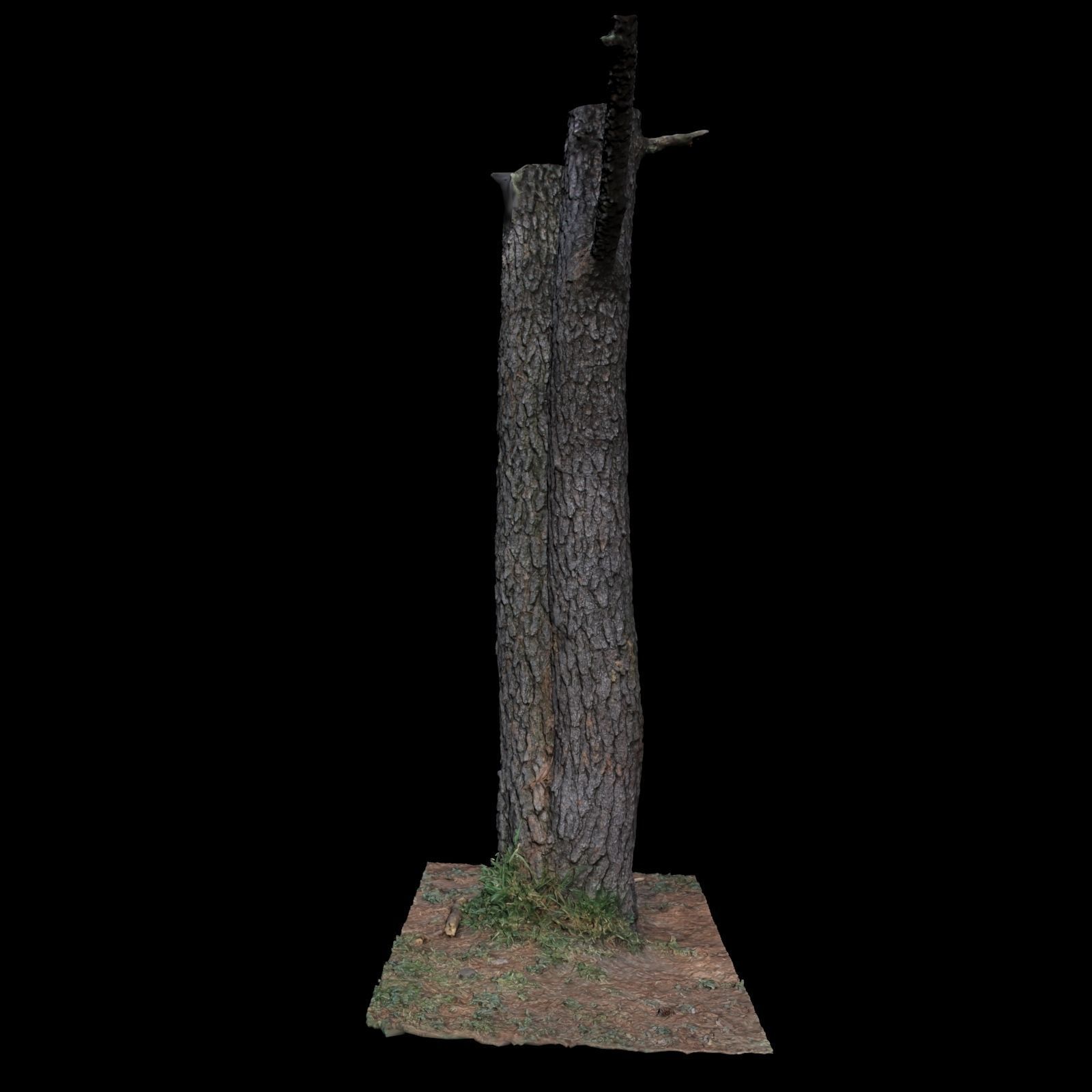 Tree N 3D model_6