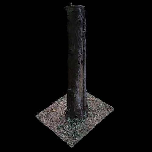 Tree P stump 3D model