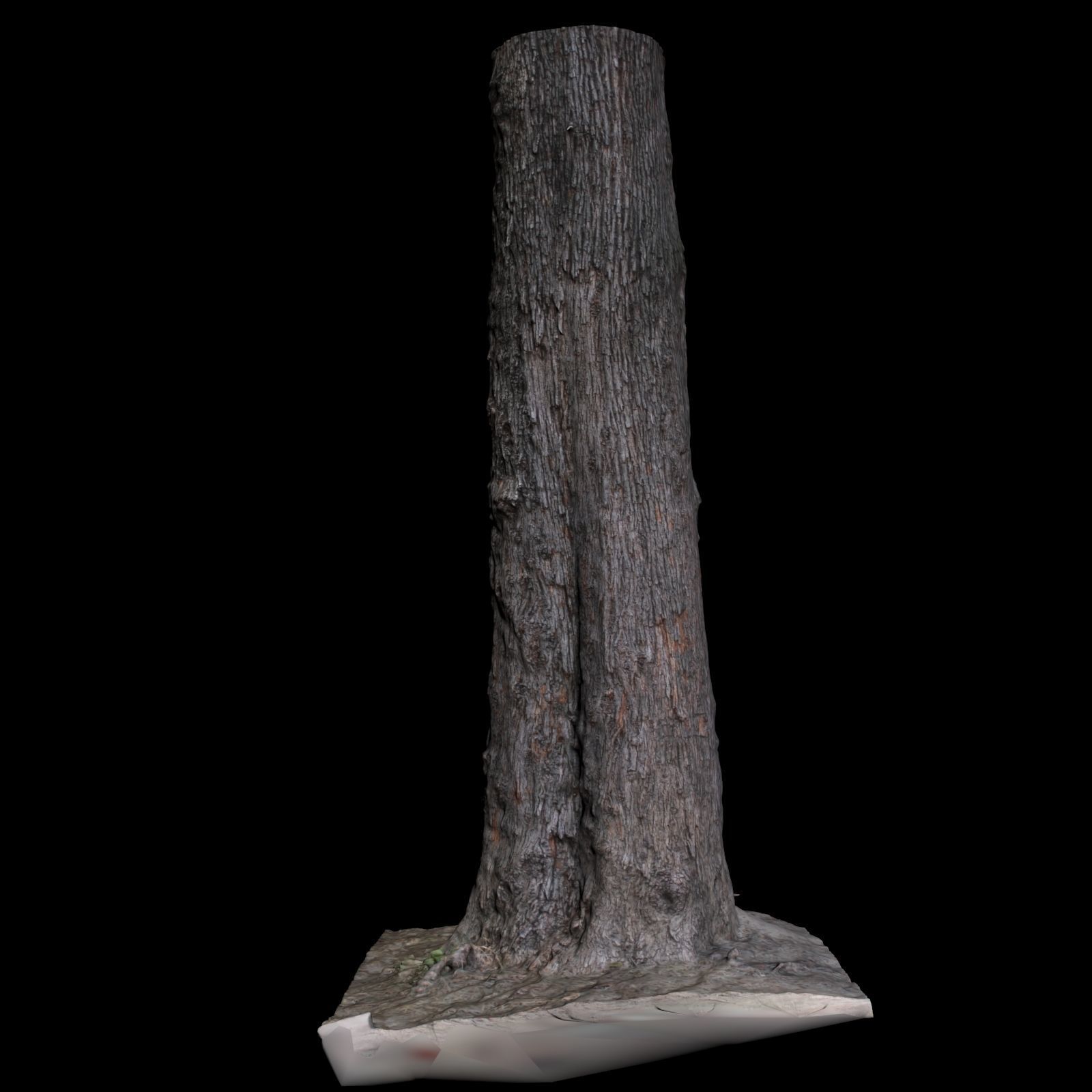 Tree S stump 3D model_4