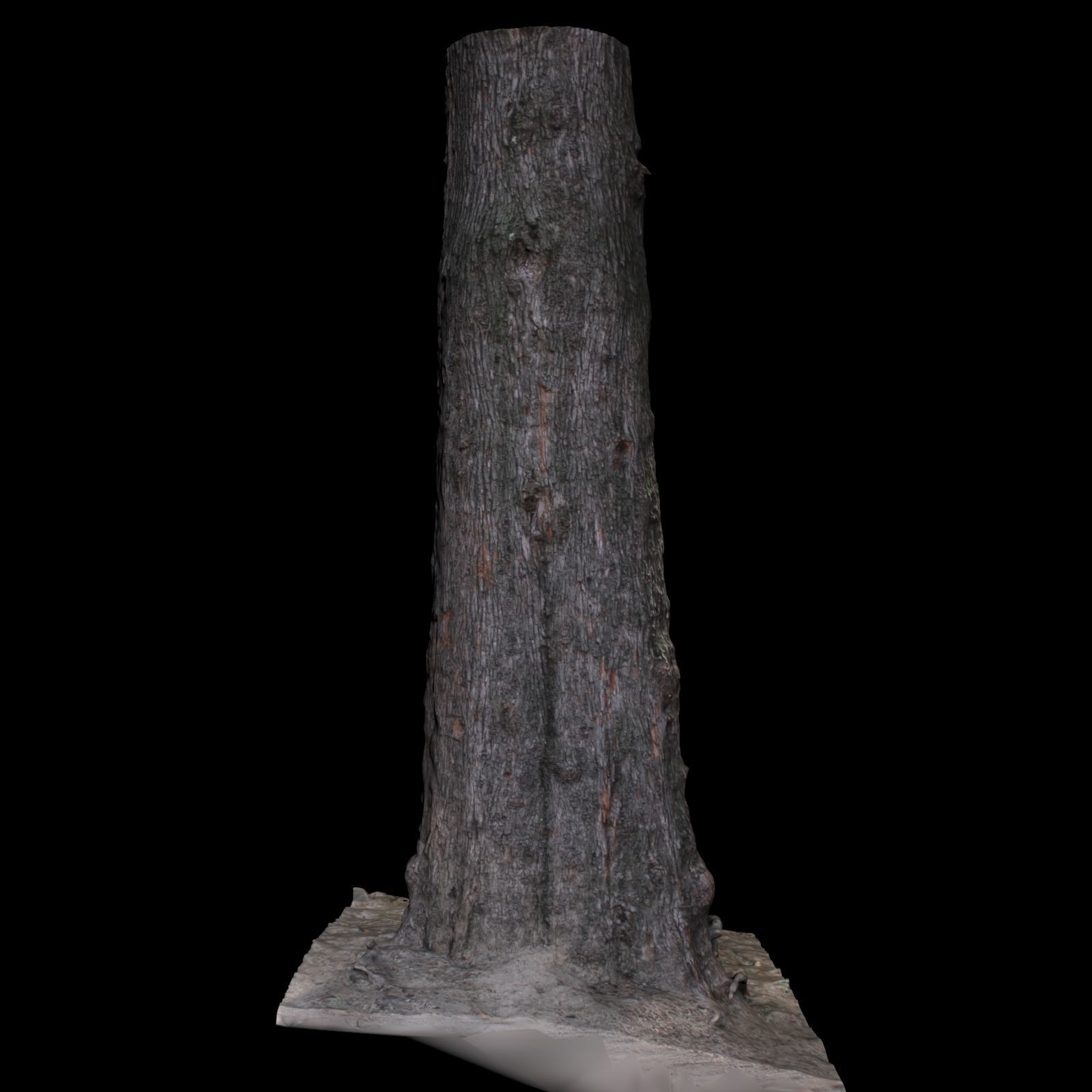 Tree S stump 3D model_5