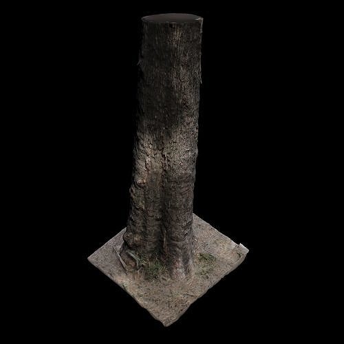 Tree S stump 3D model