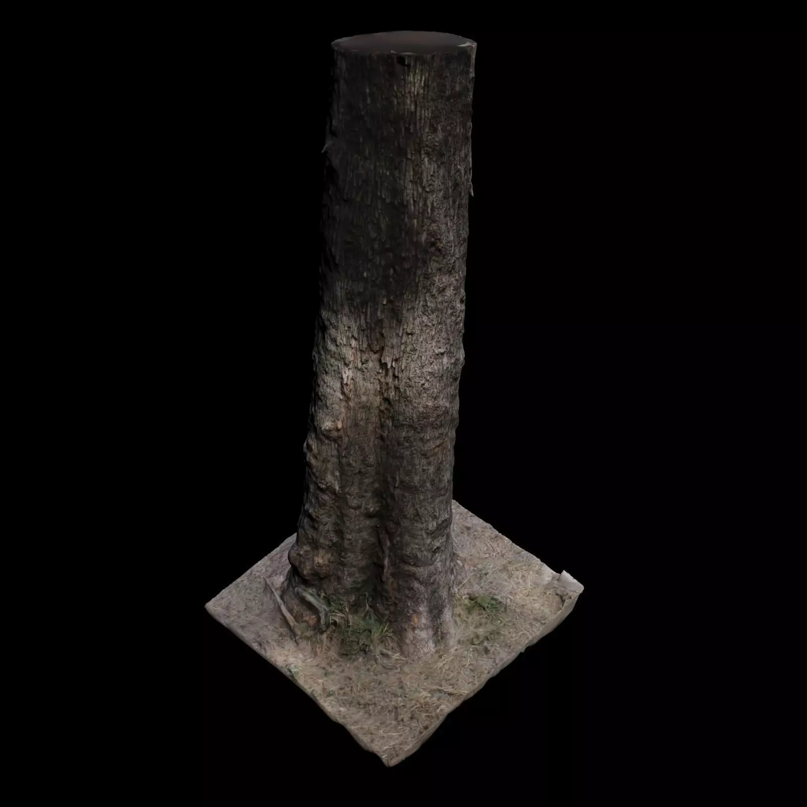 Tree S stump 3D model_0