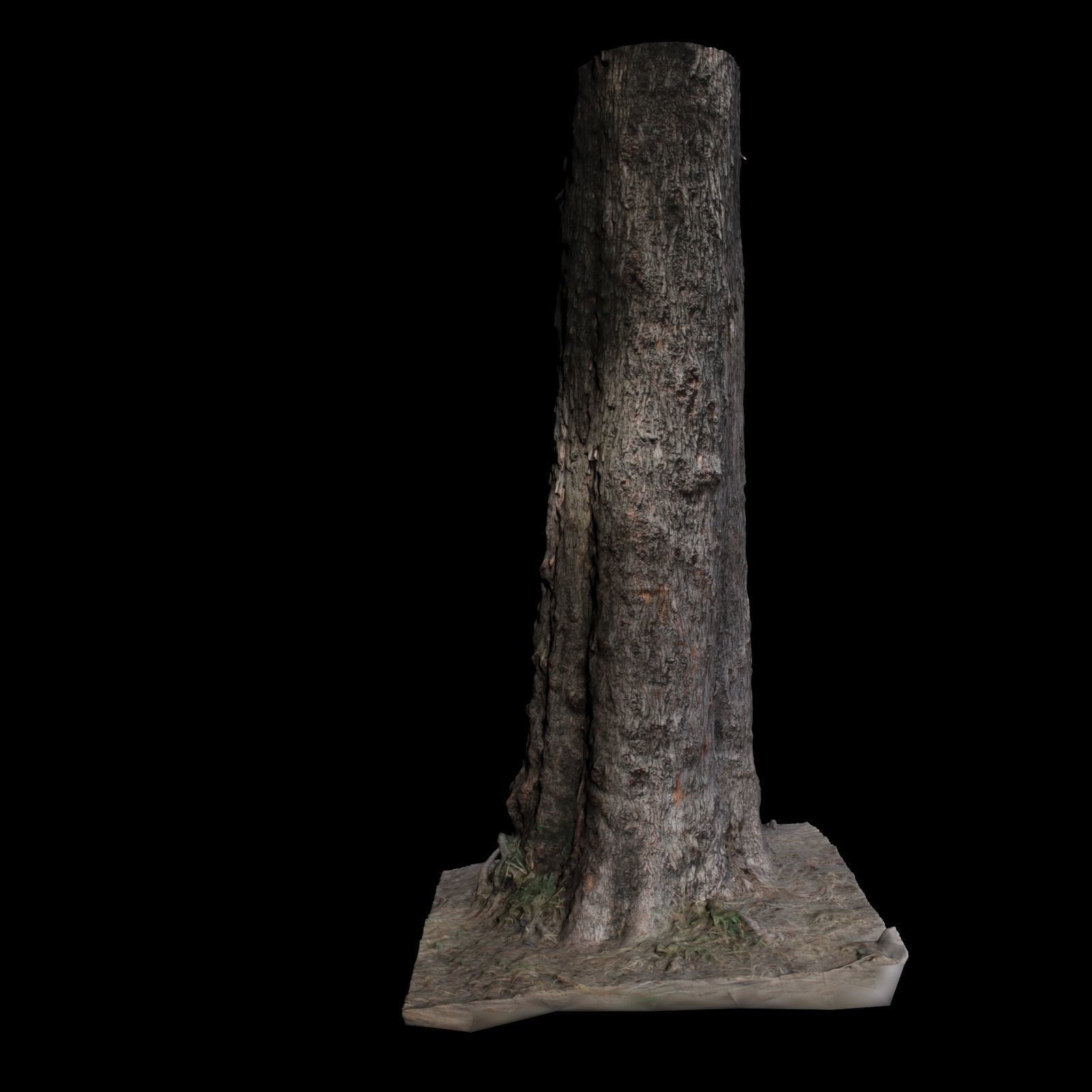Tree S stump 3D model_3