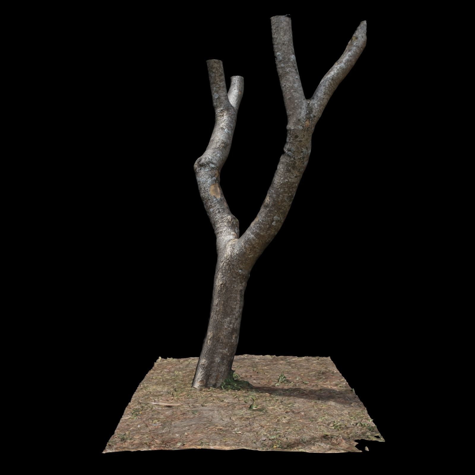 Tree T with branches on top 3D model_3