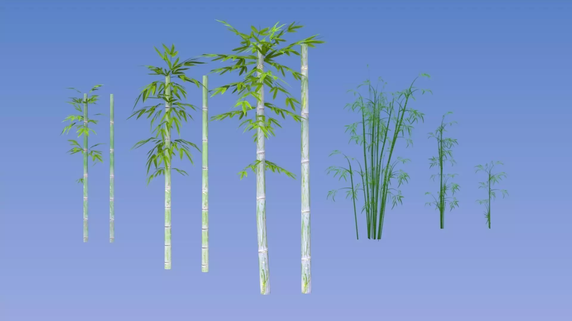 Bamboo set plant Free low-poly 3D model