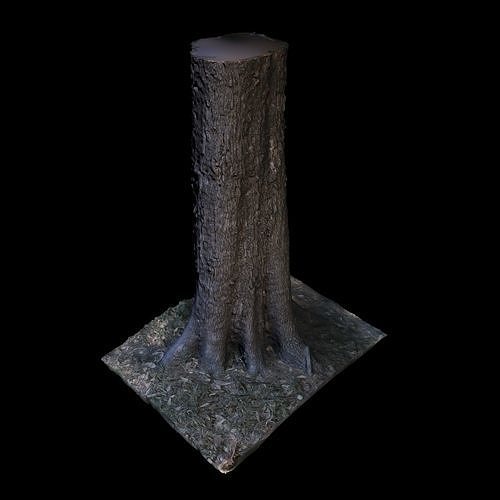 Tree W stump 3D model