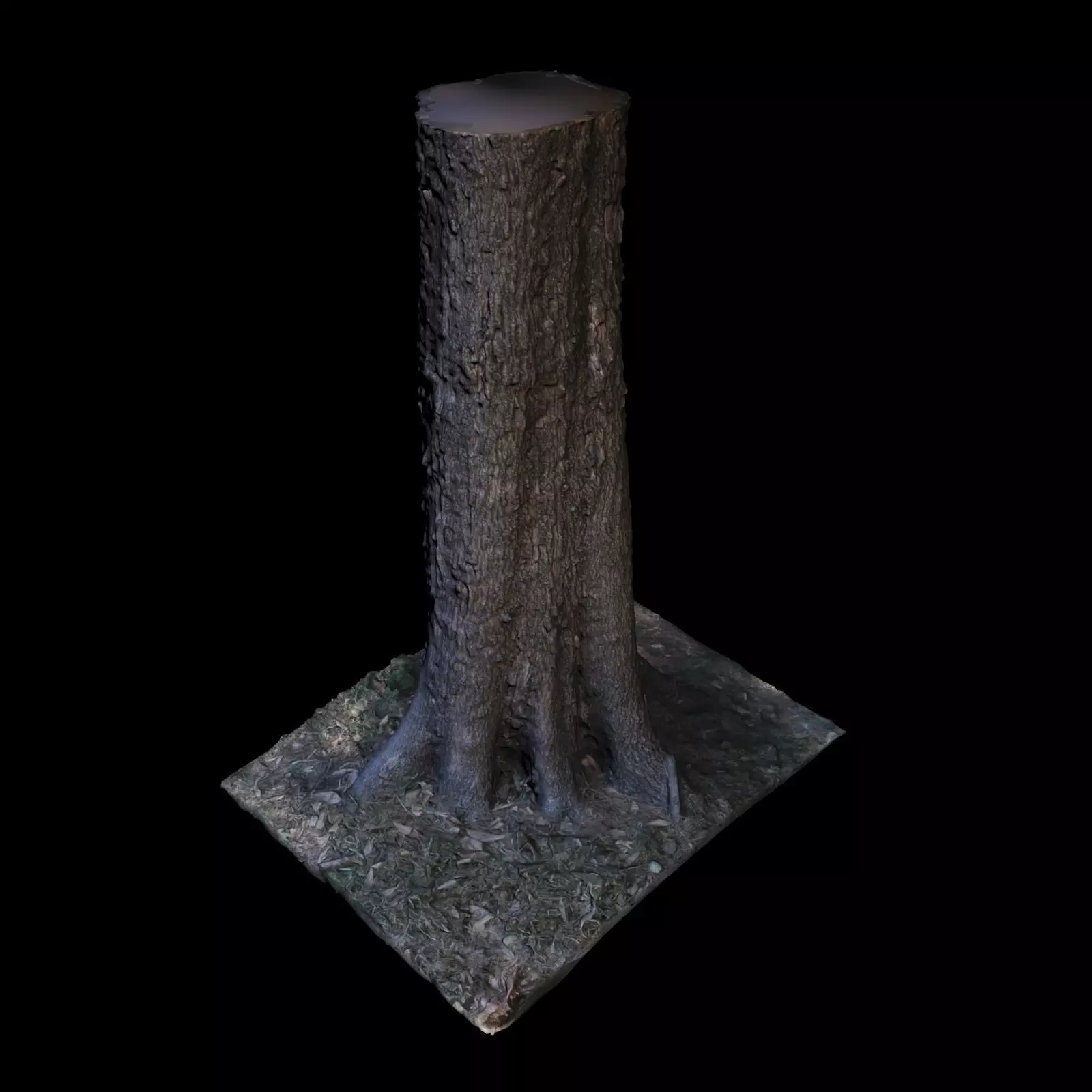 Tree W stump 3D model_0