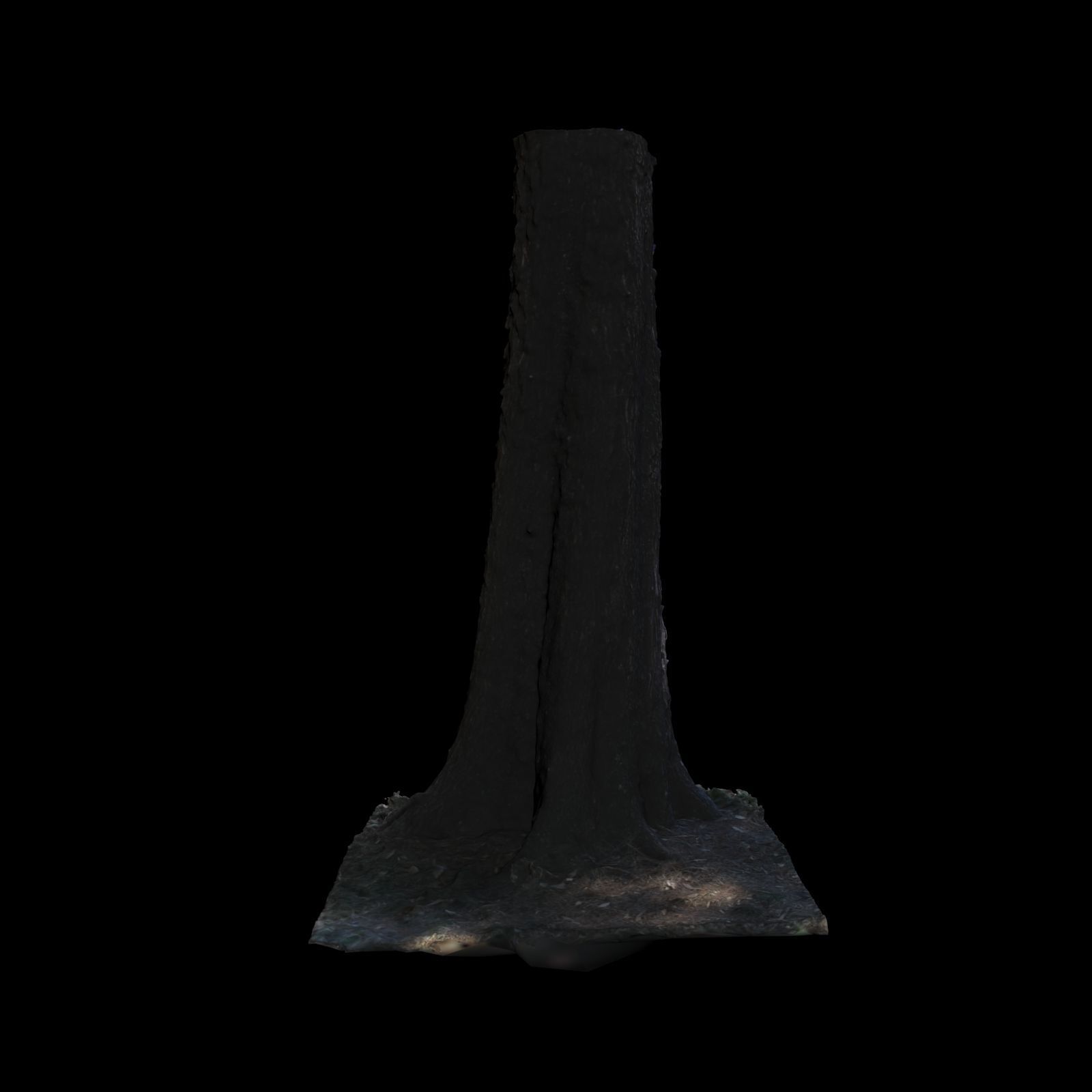 Tree W stump 3D model_4