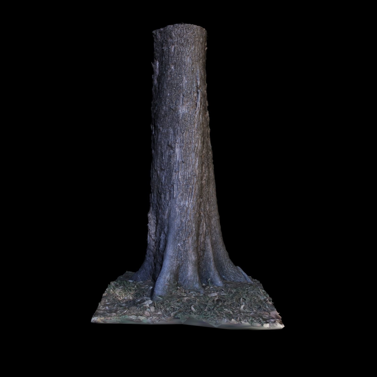 Tree W stump 3D model_2
