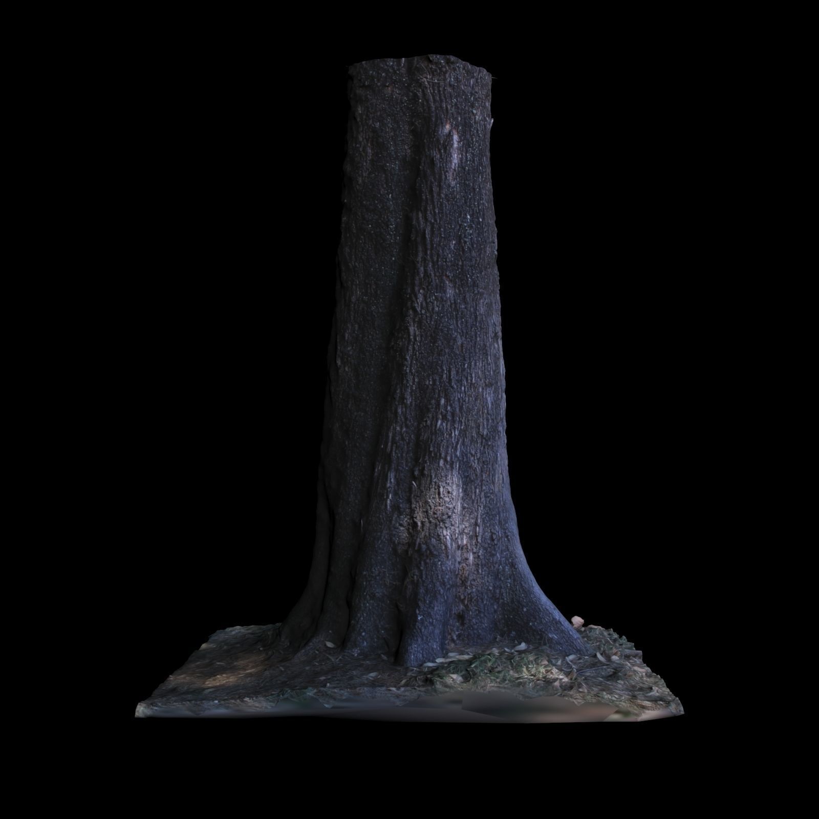 Tree W stump 3D model_5