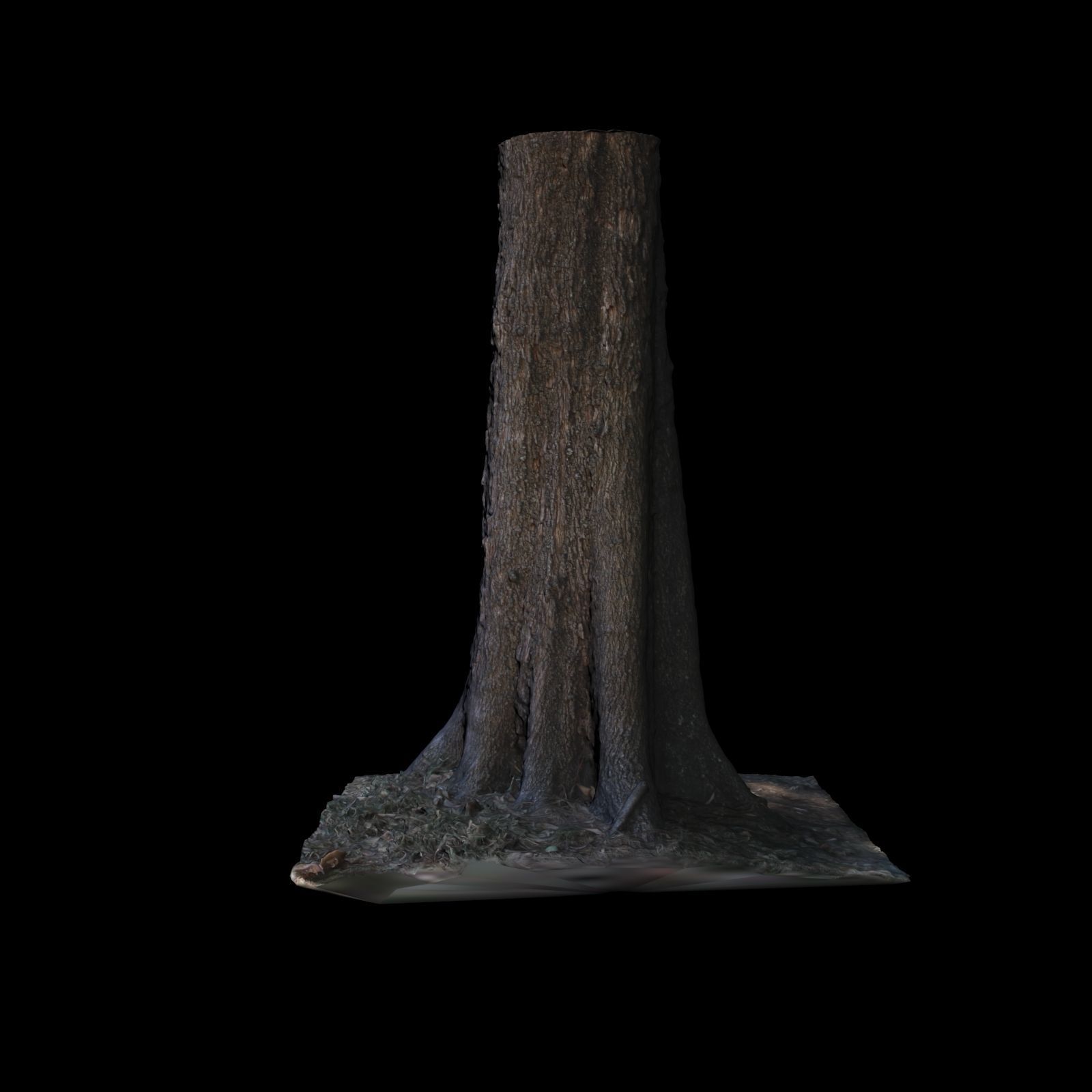 Tree W stump 3D model_3