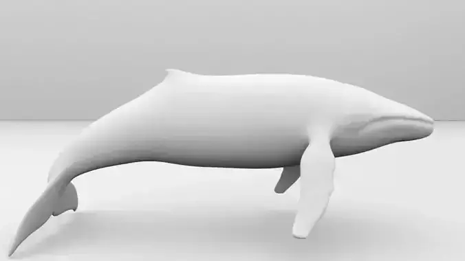 Whale