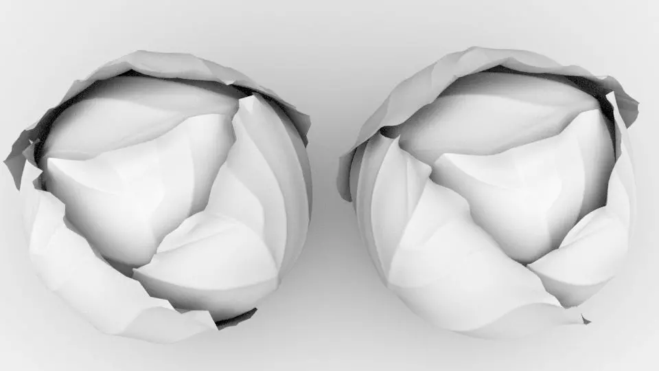 Cabbage pair of salt and pepper shakers 3D model_0