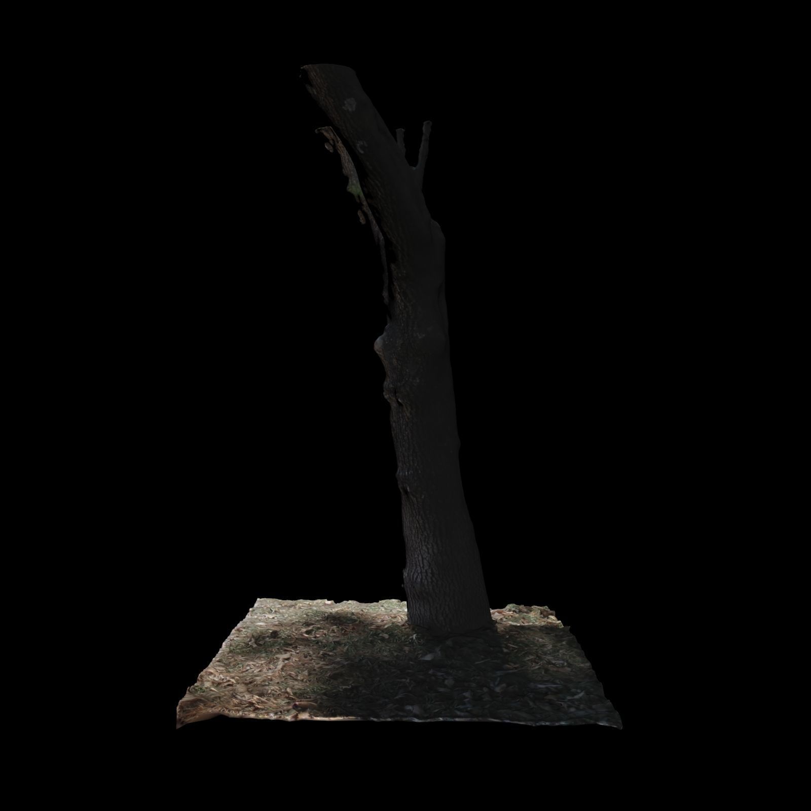 Tree X 3D model_3