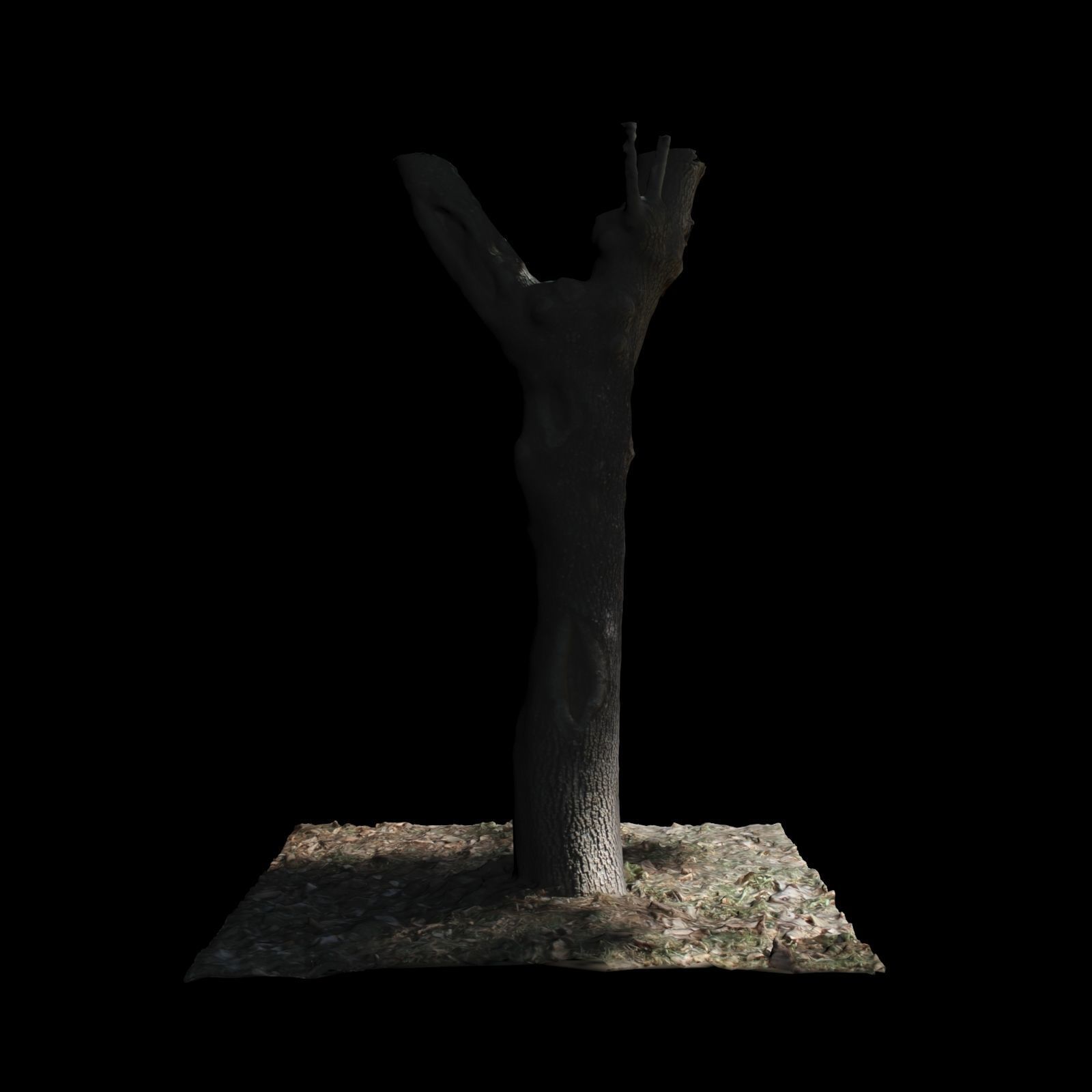 Tree X 3D model_4