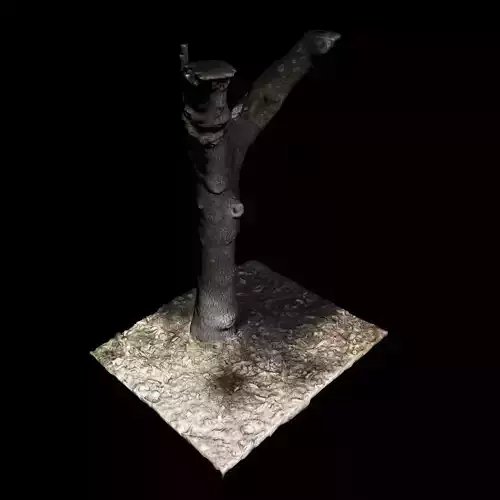 Tree X 3D model
