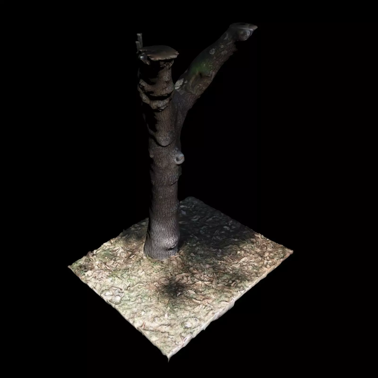 Tree X 3D model_0