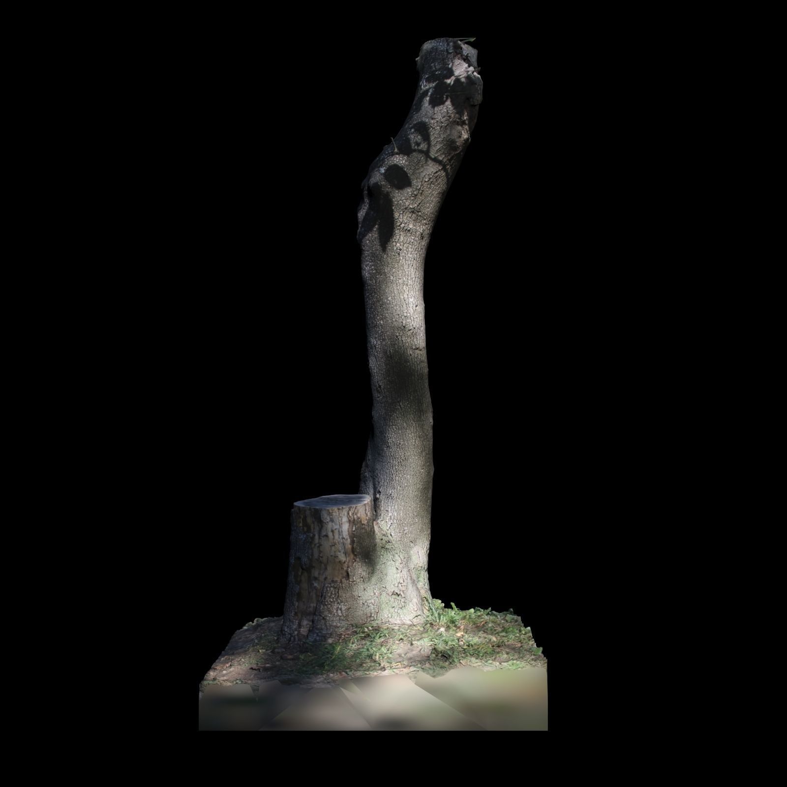 Tree Z stump 3D model_4