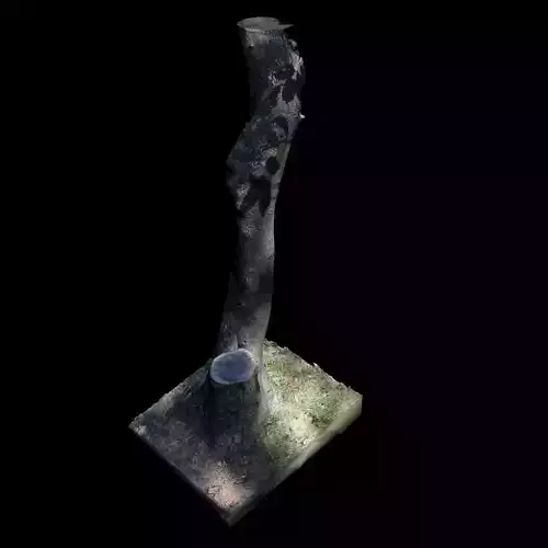 Tree Z stump 3D model