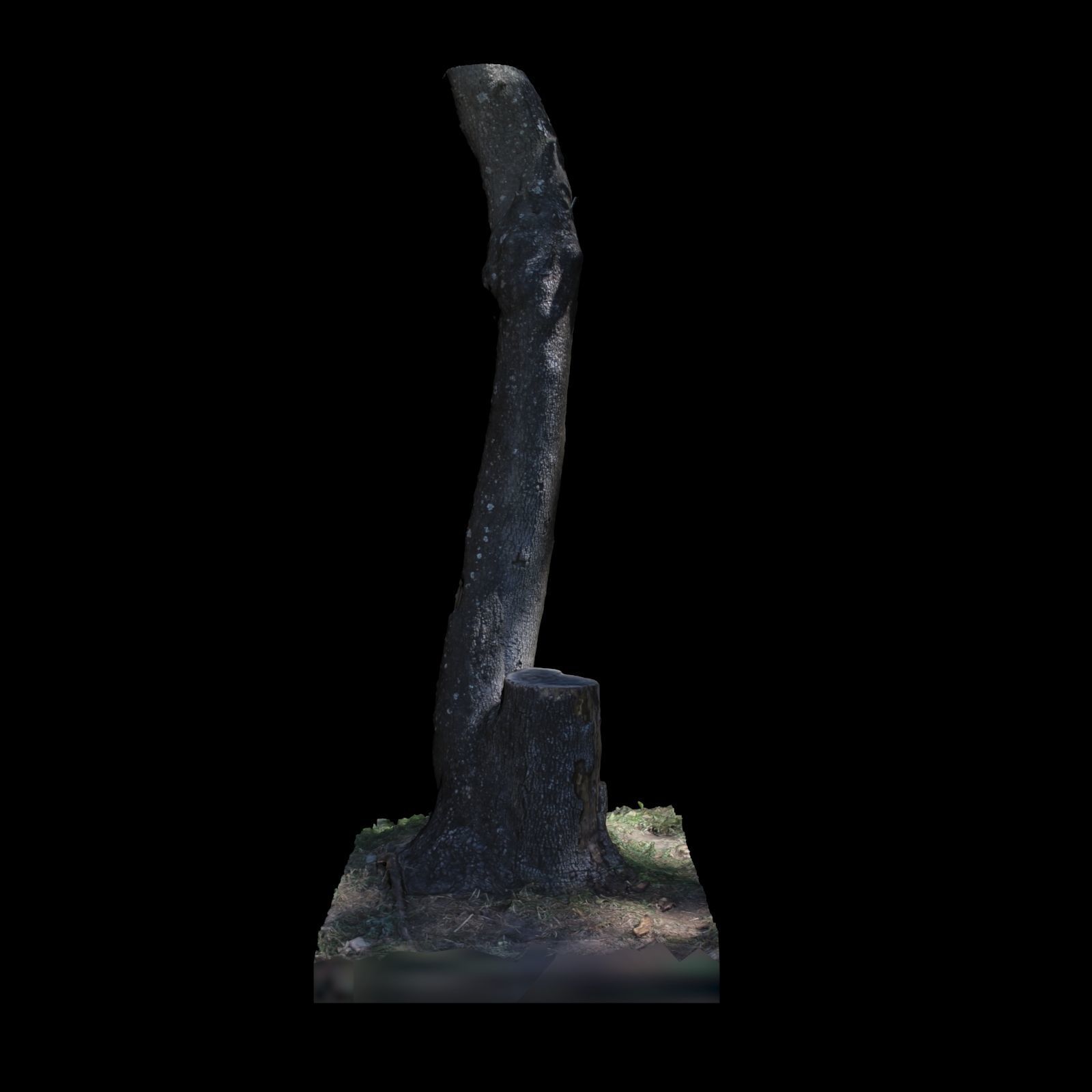 Tree Z stump 3D model_2
