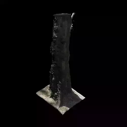 Tree 0 stump 3D model