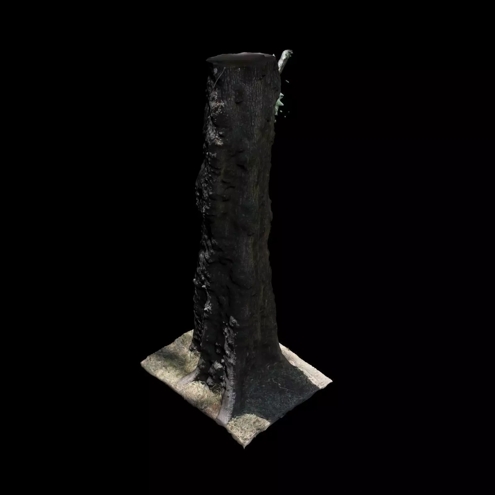Tree 0 stump 3D model_0