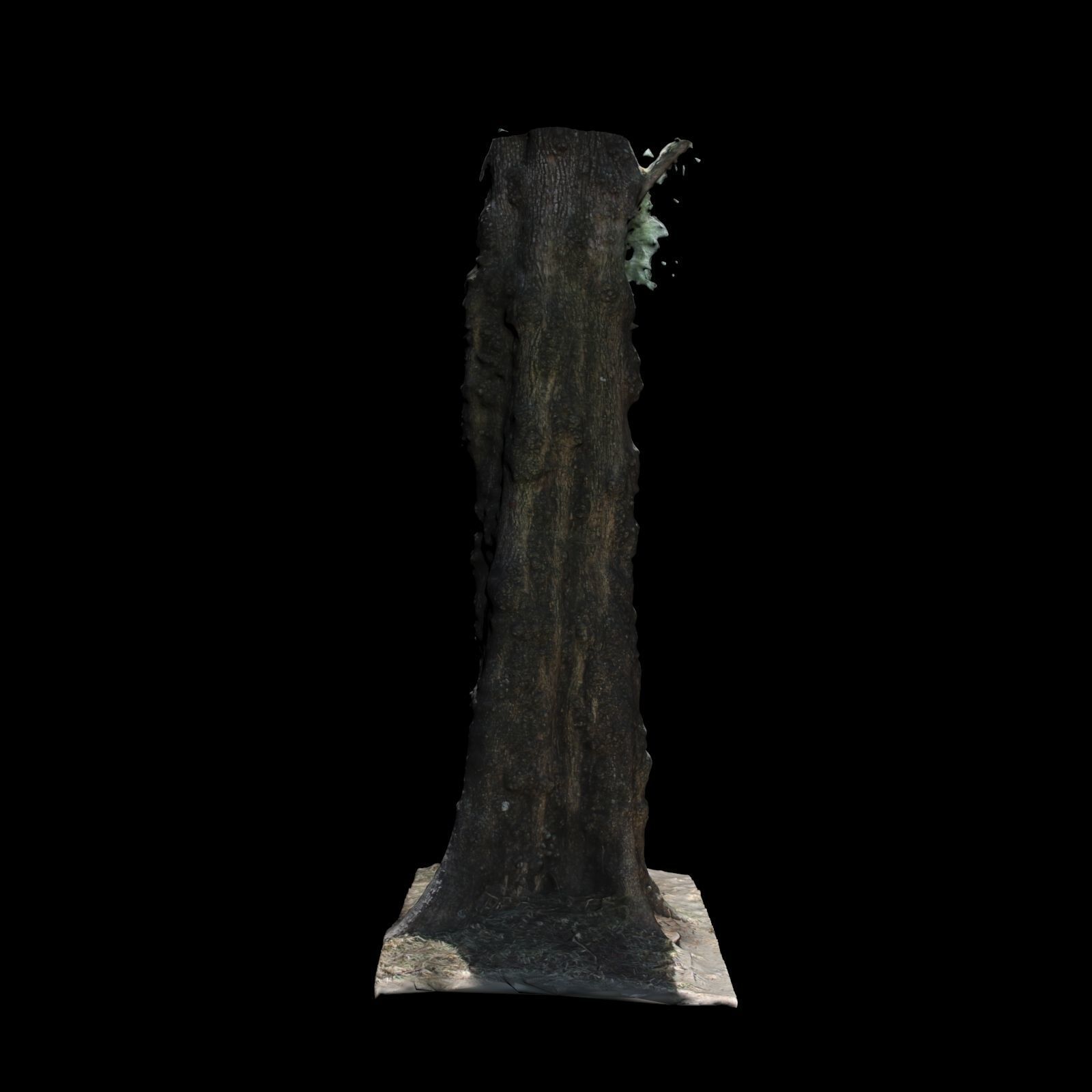 Tree 0 stump 3D model_3