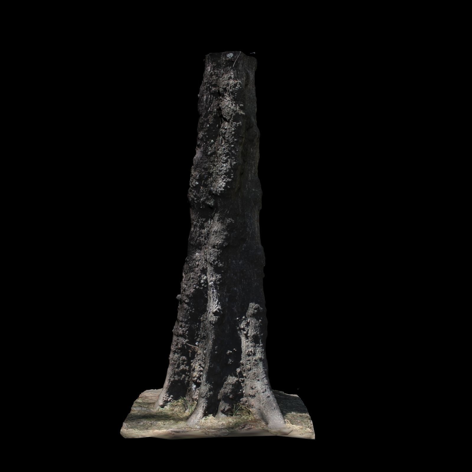 Tree 0 stump 3D model_2