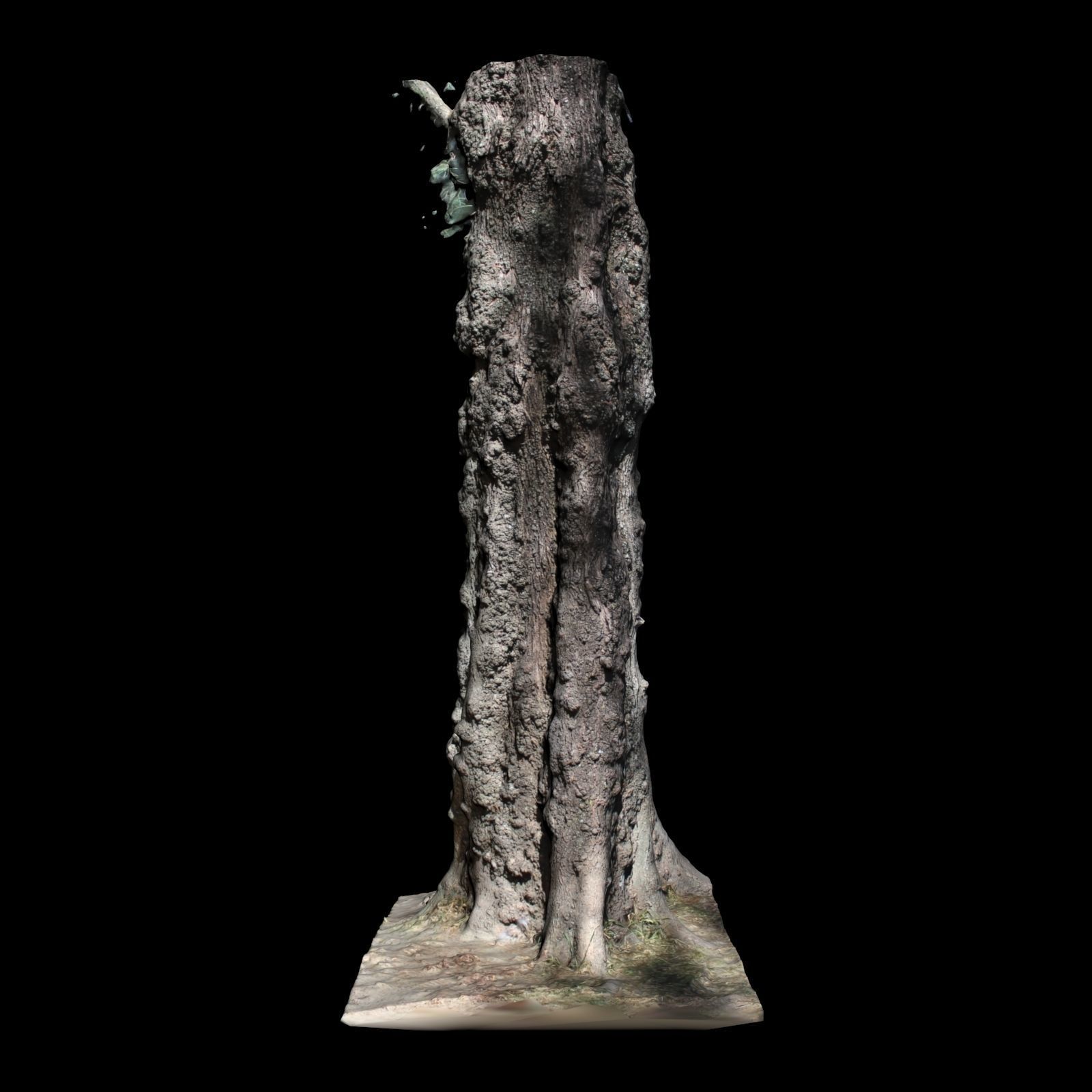 Tree 0 stump 3D model_5