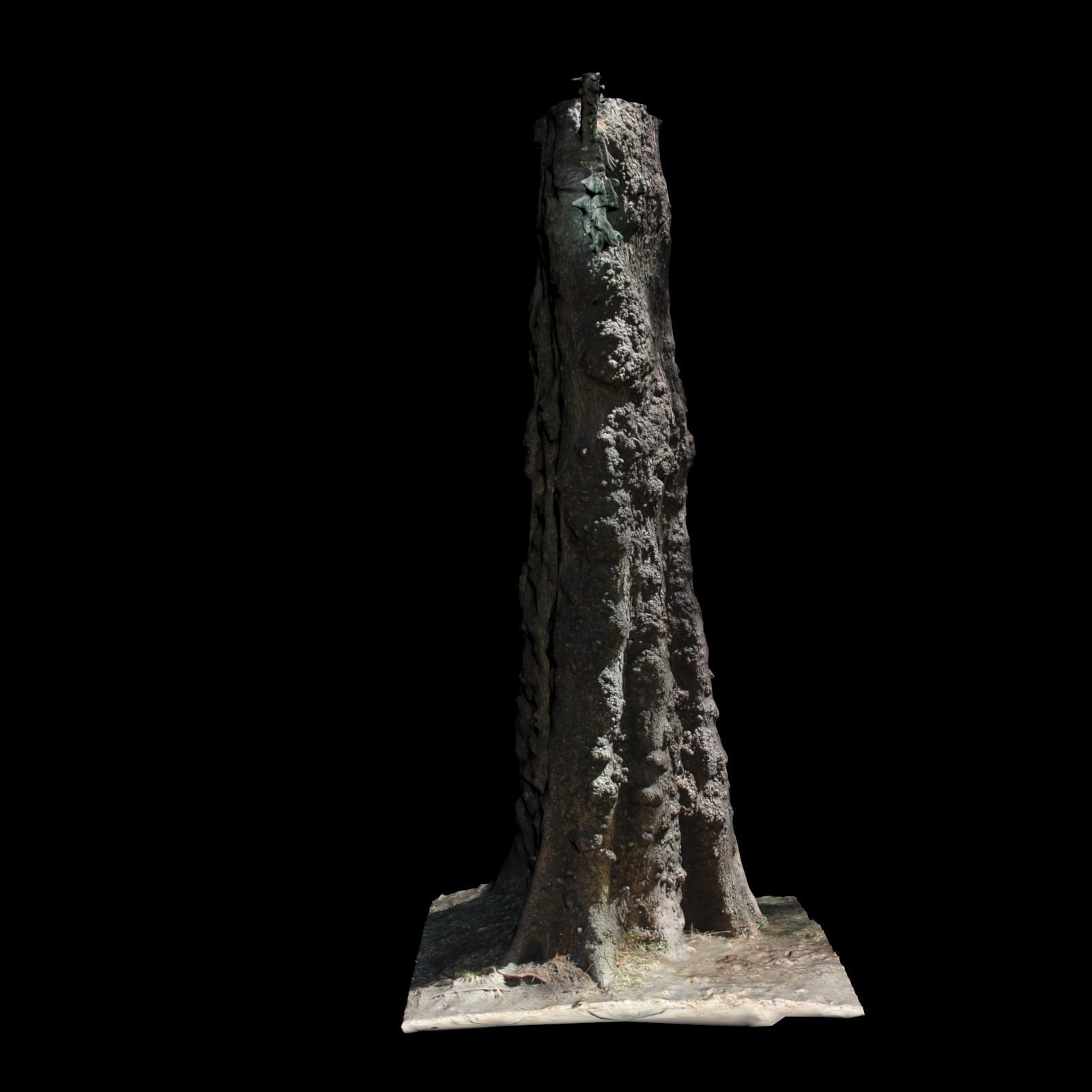 Tree 0 stump 3D model_4