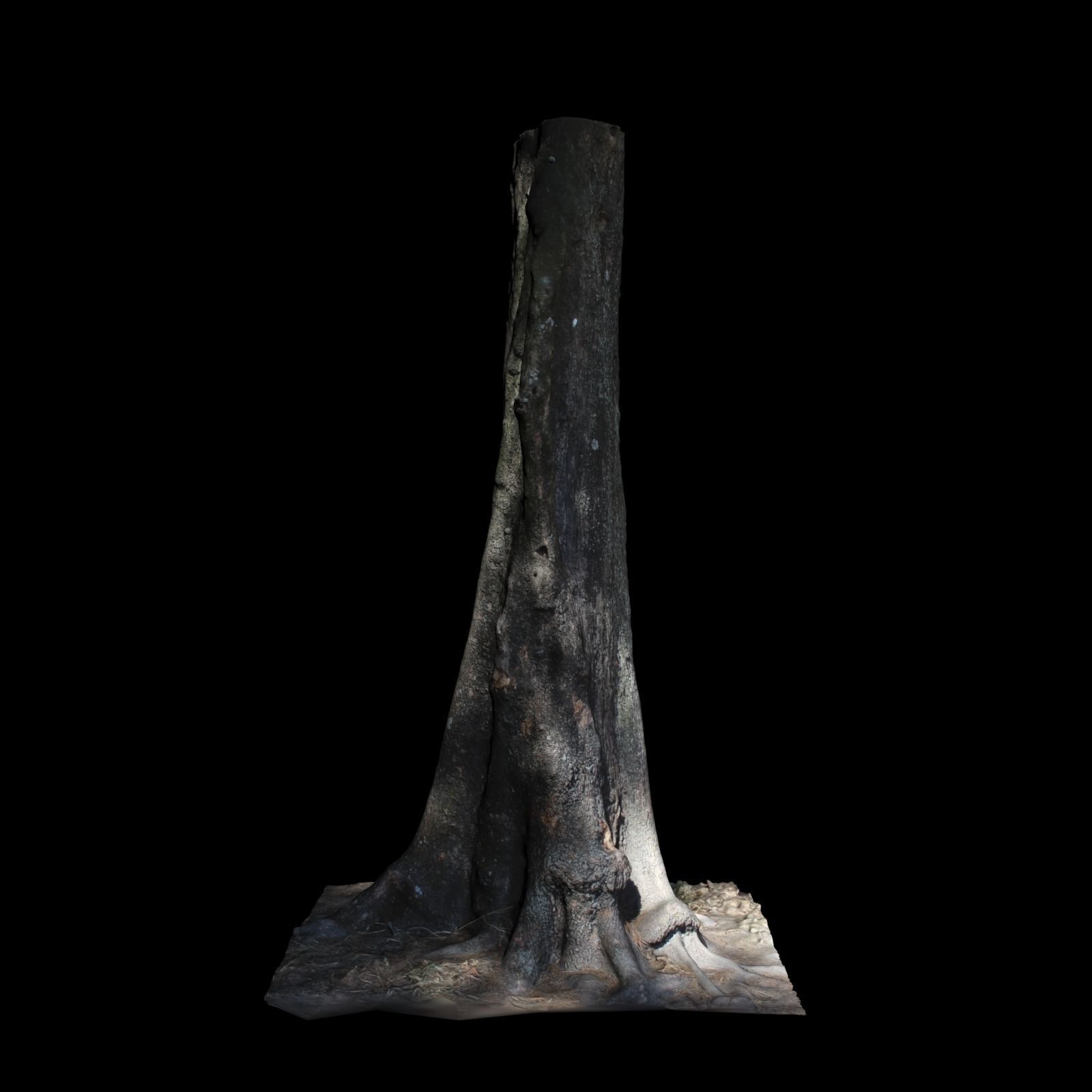 Tree 1 stump 3D model_2