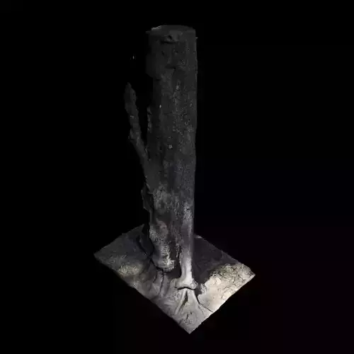 Tree 1 stump 3D model
