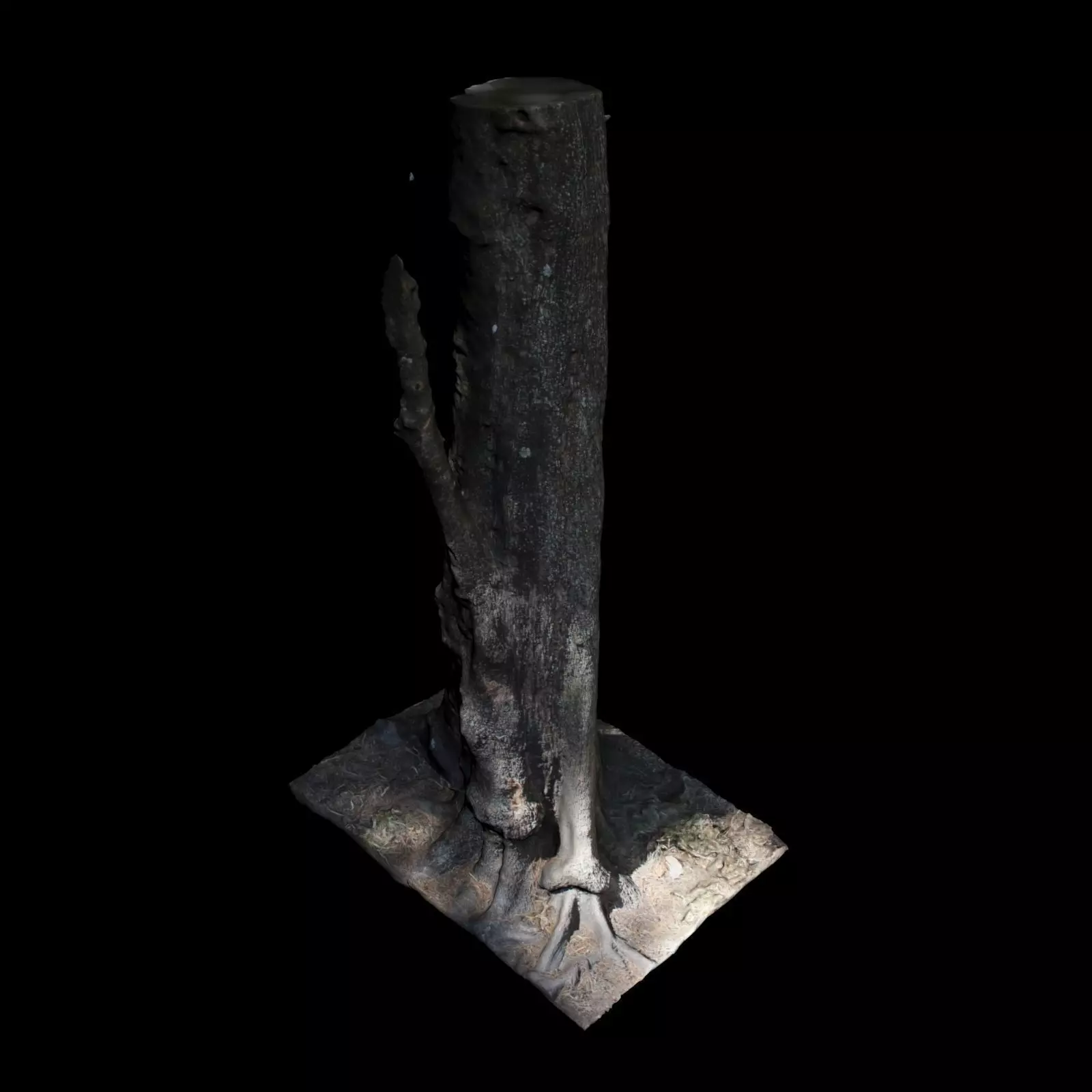 Tree 1 stump 3D model_0