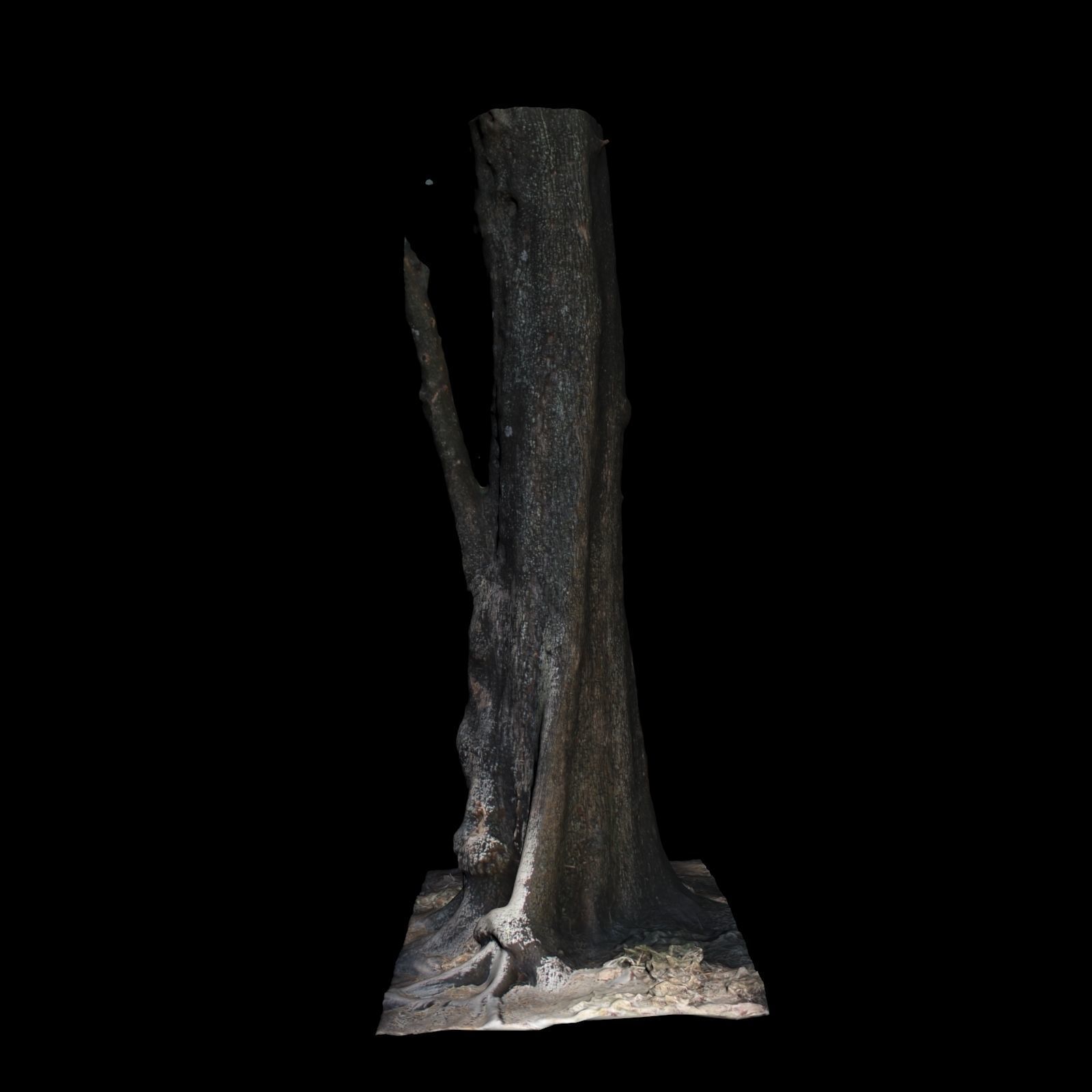 Tree 1 stump 3D model_3