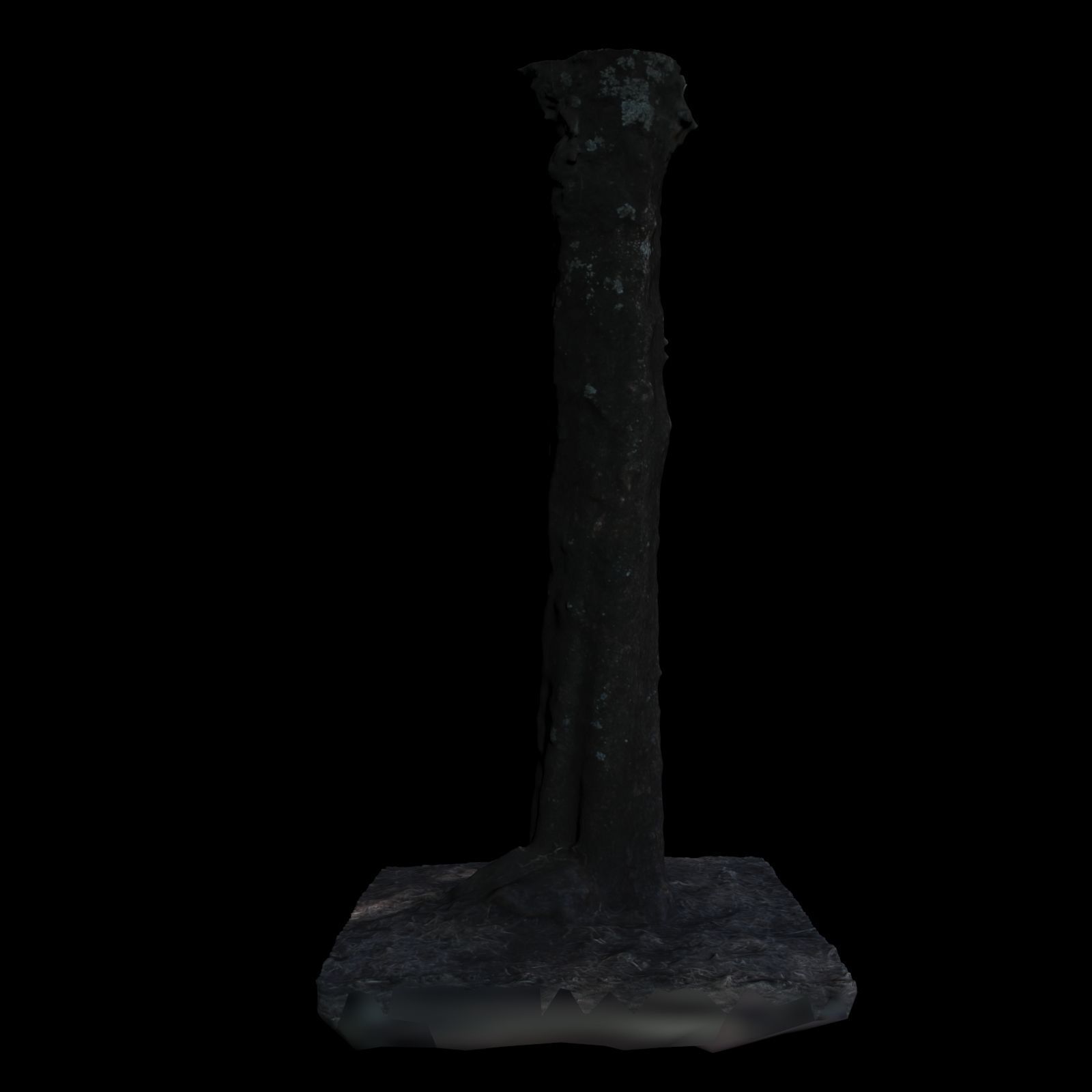 Tree 2 stump 3D model_4